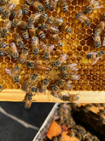 Creamed Honey Company